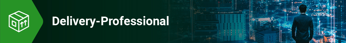 Delivery-Professional Service