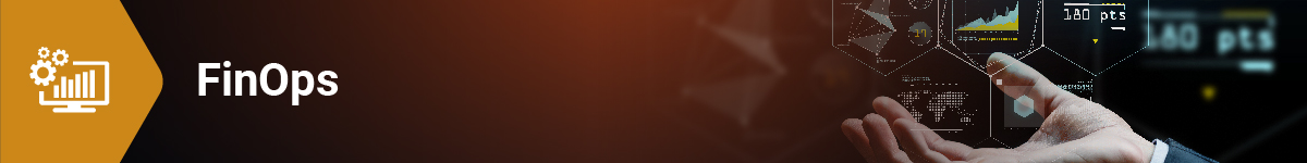 FinOps Service