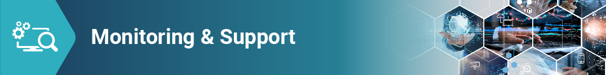 Monitoring & Support Service